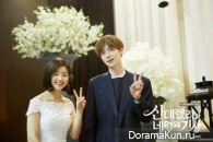 Cinderella and Four Knights