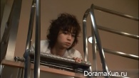 Kimi wa Pet