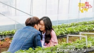 Sweet Stranger and Me