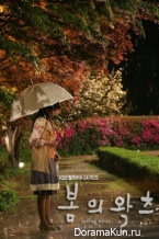 Spring Waltz