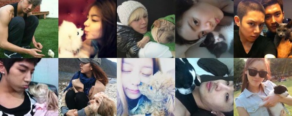 PETS